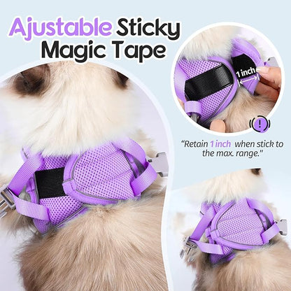 Dooradar Cat Harness and Leash Set, Escape Proof Lightweight Kitten Harness, Soft Breathable Reflective Vest for Outdoor Walking Traveling, Adjustable for Small Cats, Grey & Purple, S