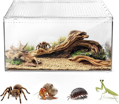 AZV Escape Proof Reptile Terrarium,Shatter Proof Polycarbonate Tarantula Tank with Magnetic Lid,Ventilated Spider Enclosure,360° Clear View,Easy Clean Habitat for Gecko,Frogs,Insects,Hermit Crabs XL