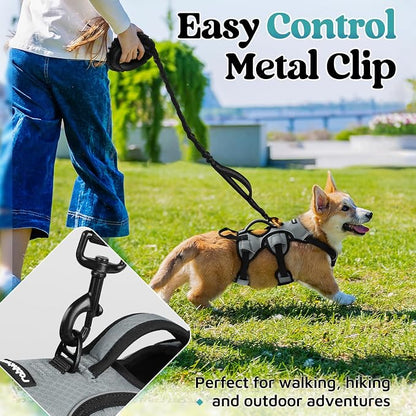 rabbitgoo Escape Proof Dog Harness for Small, No Pull with Lift Handle | No Escape, Full Soft Padded, Reflective Adjustable Vest, Leash Clip for Walking Hiking Training, Grey, Small