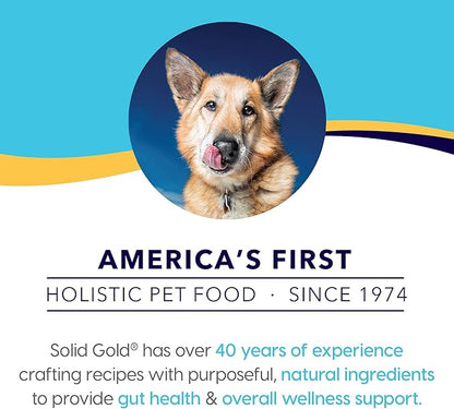 Solid Gold Canned Dog Food for Adult & Senior Dogs - Made with Real Lamb and Healthy Whole Grains - Hund-N-Flocken High Calorie, High Protein Wet Dog Food