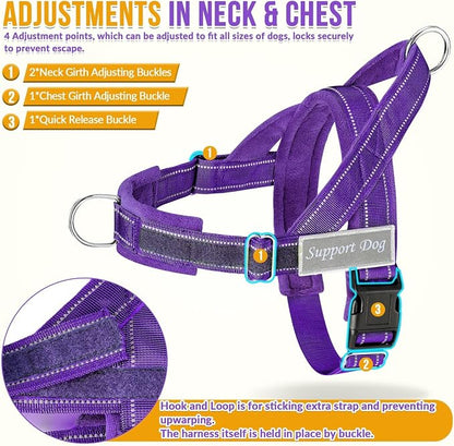 SlowTon No Pull Dog Harness with Front Clip - Heavy Duty, Soft Padded | Neck & Chest Adjustable, Tactical Pet Vest and Leash Set for Large Medium Sized Dogs, for Easy Walk & Training, Purple S