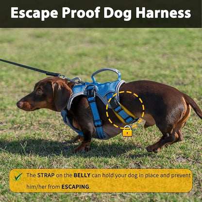 Escape Proof Dog Harness, Dachshund Harness, Reflective Dog Harness with Handle, Durable,Adjustable Vest for Small Medium Large Dogs Walking, Training, and Running Gear (Sea Blue,S)