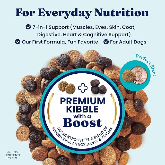 Solid Gold Lamb Dog Food Dry for Adult & Senior Dogs– High Protein Healthy Dog Kibble for Medium & Large Breeds – Whole Grain, Omega 3 & Probiotics for Gut Health & Digestion – Nutrientboost™ –3.75LB