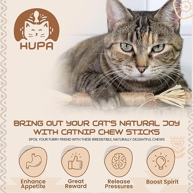 HUPA Catnip Silvervine Sticks | Anxiety Relief & Kitten Teeth Cleaning, Natural Silvervine with Raffia Grass for Healthy Teeth & Digestion | for Indoor Cats, All Ages & Breeds | 2 Sticks