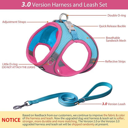 AIITLE Dog Harness, Summer No-Pull Cat Harness with a Leash, Adjustable Reflective Dog Vest, Cat Harness Escape Proof, Outdoor Walking, Camping for Extra Small Dogs and House Cats Hot Pink XXXS