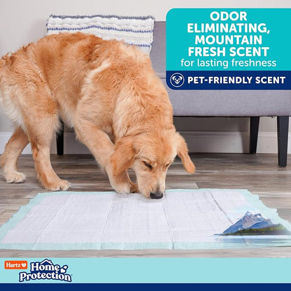 Hartz Home Protection Super Absorbent Odor Eliminating Mountain Fresh Scented No Leaks Dog Pads, XXL 60 Count