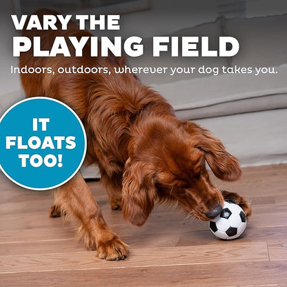 Outward Hound by Planet Dog Soccer Ball, Durable Treat-Dispensing Dog Ball, Interactive Fetch Toy, Orbee-Tuff, Mint Scented, BPA-Free, for Indoor & Outdoor Play, White