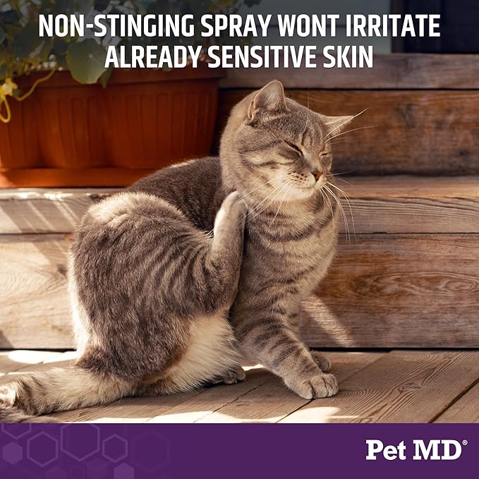 Pet MD All-in-One Derm Care - Hypochlorous Acid Spray for Dogs & All Pets - Skin Soother for Dogs & Wound Spray for Dogs - Cat Wound Care, Dog Hot Spot Remedy, & Dog Itch Relief - 8oz