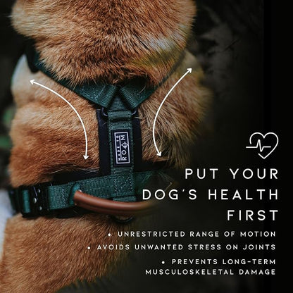 MADE TO ROAM Premium Explorer Harness - Y-Shaped Dog Harness with Adjustable Durable Nylon, Soft Padding, Metal Buckles and Leather Handle for Small, Medium, Large Dogs (Colorado Nightsky, Size 5)