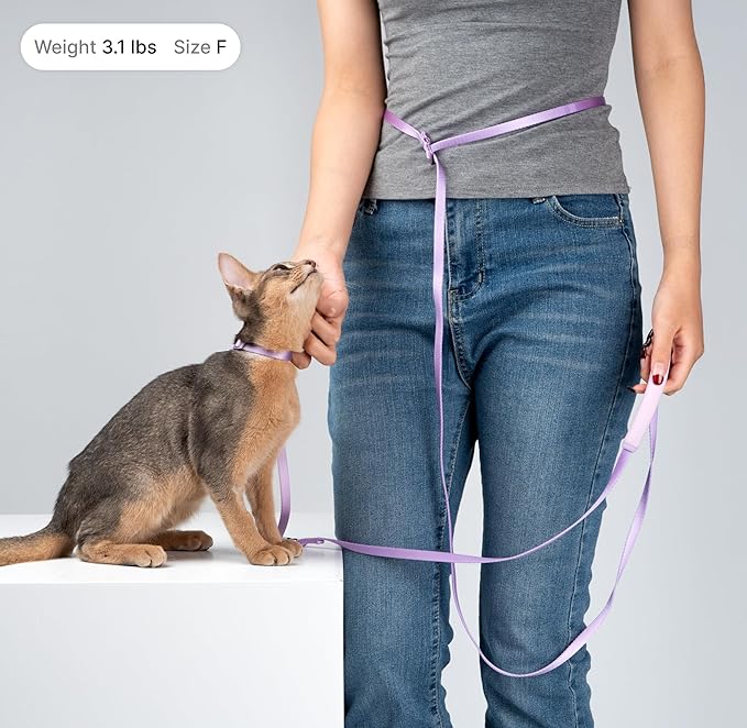 Cat Harness and Leash Set, Lightweight Escape Proof Cat Harness Leash with Padded Handle, Adjustable Cat Leash and Harness for Kitten Small Large Cats Walking Training (Vivid Red, S)