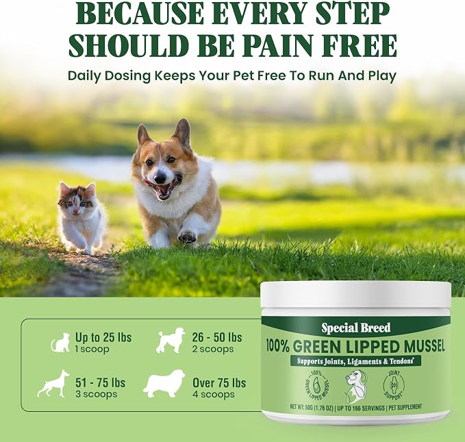 Green Lipped Mussel Powder for Dogs & Cats - 100% New Zealand Green Lipped Mussels - Natural Hip & Joint Supplement for Joints, Tendons, Ligaments, Muscles - 50 Grams - Up to 166 Servings