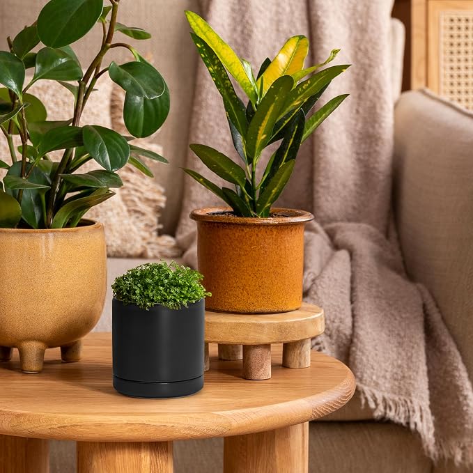 D'vine Dev Set of 2 Plants Pots, 3.5 Inch Ceramic Planter Pot for Plants with Drainage Hole and Saucer, Black, 94-V-A-2