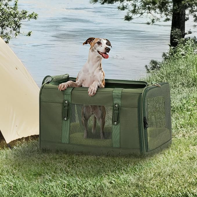 Petsfit 19x12x12 Pet Carrier for Large Cats (up to 20 lbs), Soft-Sided Small Dog Travel Carrier, Upgraded with Patented Buckle and Soft Padding, Ideal for Car Road Trips Green