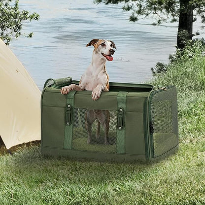 Petsfit 19x12x12 Pet Carrier for Large Cats (up to 20 lbs), Soft-Sided Small Dog Travel Carrier, Upgraded with Patented Buckle and Soft Padding, Ideal for Car Road Trips Green