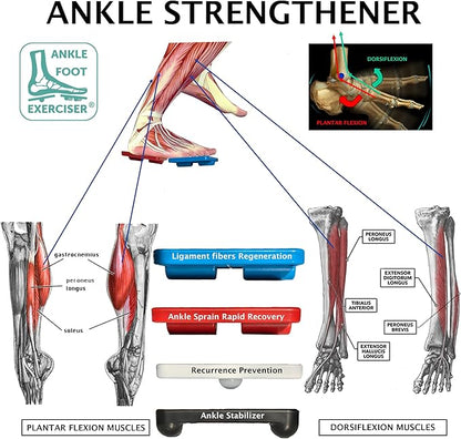 Ankle Foot Exerciser® Ankle Strengthener