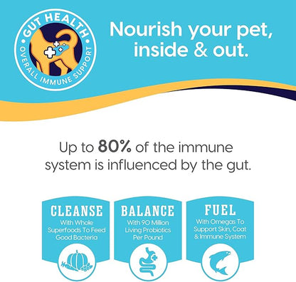 Solid Gold Canned Dog Food for Adult & Senior Dogs - Made with Real Lamb and Healthy Whole Grains - Hund-N-Flocken High Calorie, High Protein Wet Dog Food