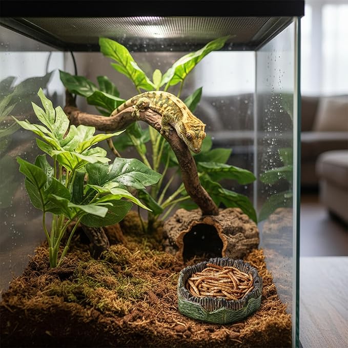 Small Reptile Food Dish, 2 PCS Reptile Water Dish Food Bowl Reptiles Feeding Foods Resin Terrarium Bowl for Bearded Dragon Gecko Frog Snake Chameleon Tortoise