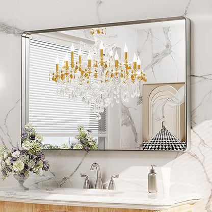 LOAAO 48X30 Inch Brushed Nickel Bathroom Mirror, Rounded Rectangle Silver Metal