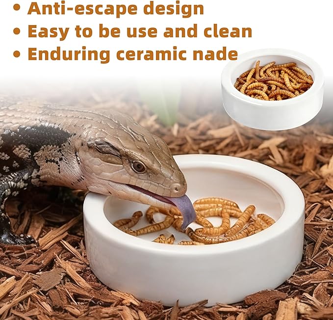 Escape-Proof Reptile Food Dish Bowl, Ceramic Reptile Feeding Dish & Small Animal Bowl for Lizard, Leopard Gecko, Hermit Crab, Hamster, Anti Escape Live Food & Water Dish (3x1in)