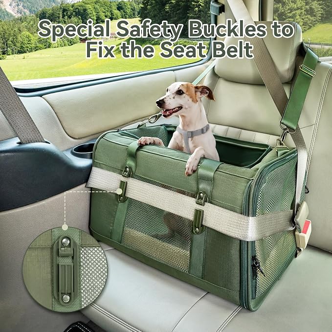 Petsfit 19x12x12 Pet Carrier for Large Cats (up to 20 lbs), Soft-Sided Small Dog Travel Carrier, Upgraded with Patented Buckle and Soft Padding, Ideal for Car Road Trips Green