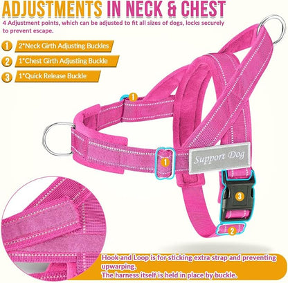 SlowTon No Pull Dog Harness with Front Clip - Heavy Duty, Soft Padded | Neck & Chest Adjustable, Tactical Pet Vest and Leash Set for Large Medium Sized Dogs, for Easy Walk & Training, Fuchsia XL