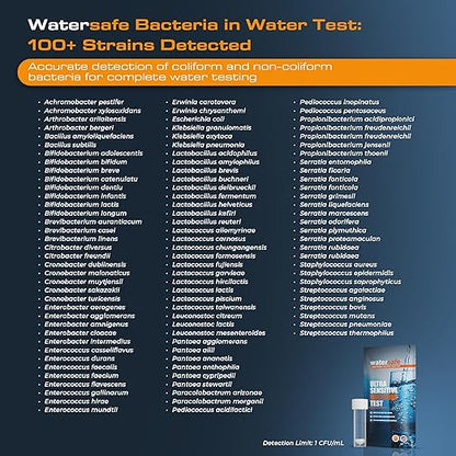 Watersafe® Bacteria Water Test Kit – USA-Made – Results as Fast as 6 Hours –