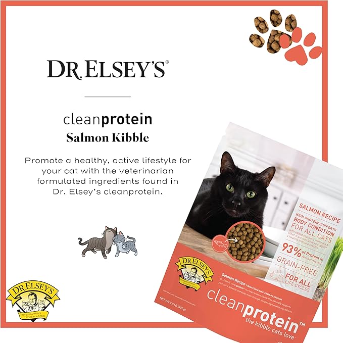 Dr. Elsey'S Cleanprotein Salmon Formula Dry Cat Food, 2 Pound (Pack of 1)