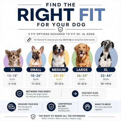 ShawnCo Essential Dog Harness, No-Pull Pet Vest (Electric Blue,L) | 3 Leash Clips, Easy On, No-Choke, Reflective, Adjustable Fit, Padded Comfort, Control Handle, For Small, Medium & Large Dogs