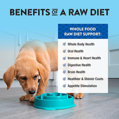 Northwest Naturals Freeze-Dried Beef & Trout Dog Food - Bite-Sized Nuggets - Grain-Free, High-Protein, Raw Diet, Human-Grade Ingredients, All Natural, Omega-3 for Skin & Coat, Made in USA, 12 Oz