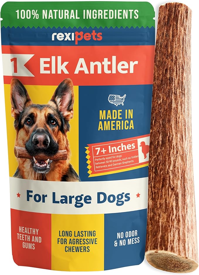 REXIPETS 100% Natural - Elk Antlers for Dogs - Naturally Shed in USA - Long Lasting Chews for Aggressive Chewers - Natural, Real Dog Antler Treats & Toys - Dog Chews - No Odor & No Mess - Large