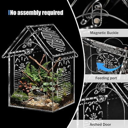 Jumping Spider Enclosure House Shape Design, Seamless Acrylic Tarantula Terrarium for Spiders and Small Reptiles, 6"x6"x10" (Large)