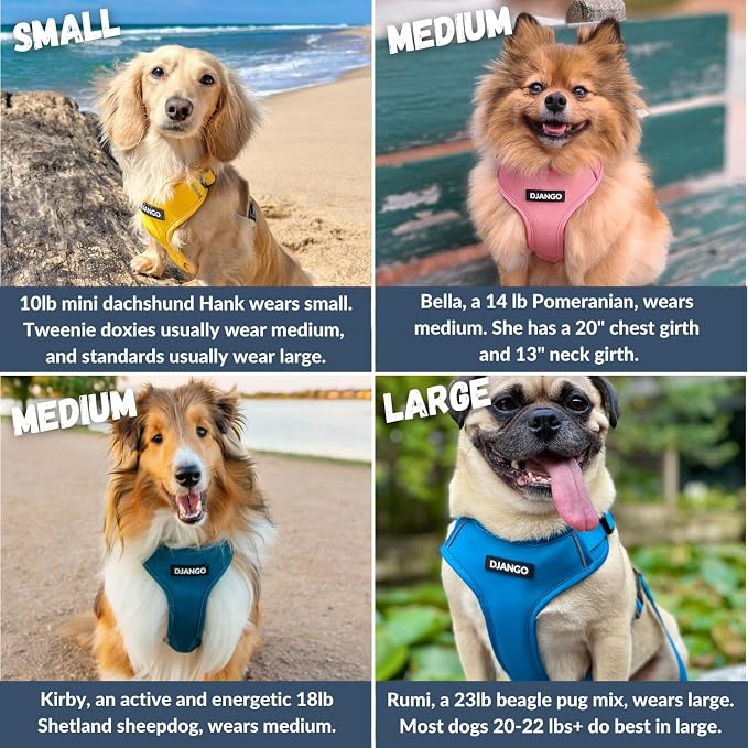 Adventure Dog Harness - Stylish and Durable Small Dog Harness for Outdoor Adventures and Everyday Wear - Forest Green Neoprene Adjustable Harness for Dogs with Reflective Piping & Brass D-Ring