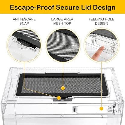 HELIME Reptile Polycarbonate Terrarium Kit 7 Piece Starter Habitat for Tarantula,Lizards,Frogs,Geckos,or Hermit Crabs,Tank with Escape-Proof Locking Lid,Light,Hygrometer,Hide,Tweezer,Bowl,Sprayer L