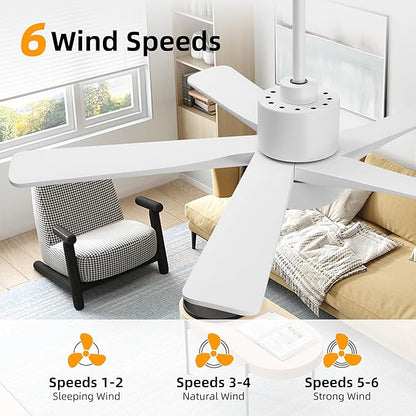WINGBO 48 Inch DC Ceiling Fan