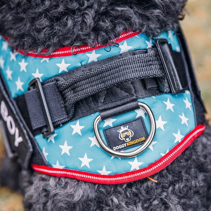 Personalized Dog Harness with Custom Name Patches, Adjustable Reflective No Choke Dog Vest with Handle for Extra Large Dog, Green, XL
