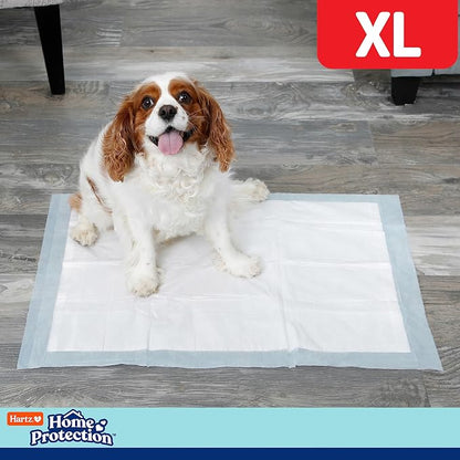 Hartz Home Protection Super Absorbent Odor Eliminating Mountain Fresh Scented No Leaks Dog Pads, XL 30 Count