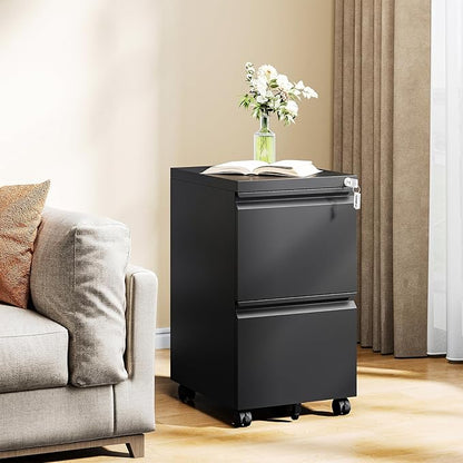 MIIIKO 2 Drawer File Cabinet on Wheels, Home Office Mobile File Drawers Under