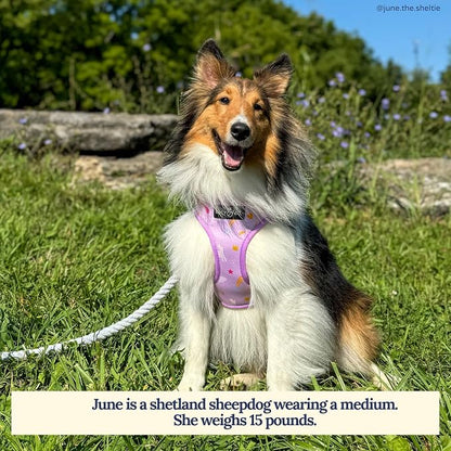 Lucy & Co. Reversible Dog Harness - Water-Repellent Neoprene, Dual-Print Design, Easy Swap Style, Adjustable Comfort Fit - Making Magic Reversible Harness - X-Small
