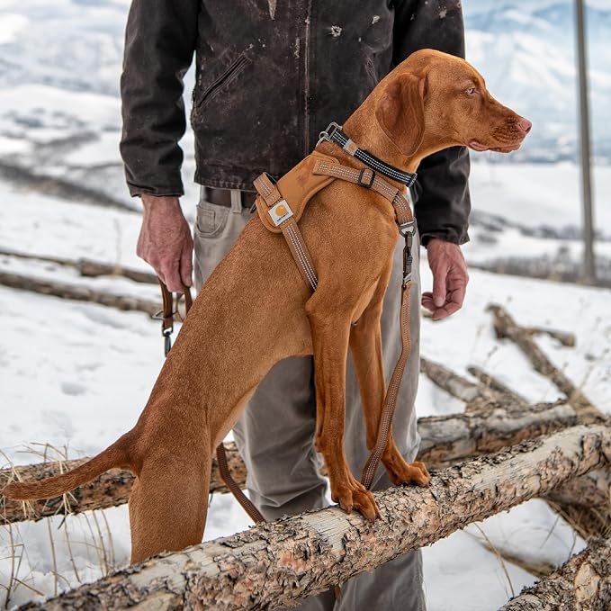 Carhartt Nylon Duck No Pull Dog Harness Faded Fatigue XL | Fully Adjustable Dog Harness with Quick Control Handle and Reflective Accents