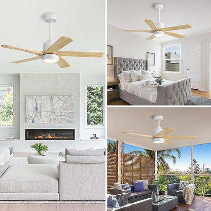 WINGBO 48 Inch DC Ceiling Fan