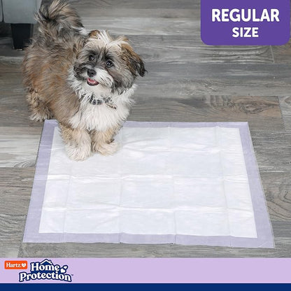 Hartz Home Protection Lavender Scented Odor Eliminating Dog Pads, 21 x 21 (100 Count) (Pack of 2)