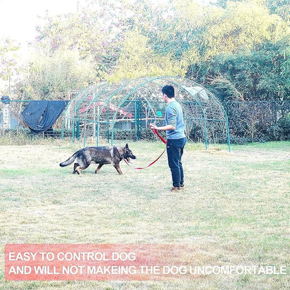 Dog/Puppy Obedience Recall Training Agility Lead - 15ft 20ft 30ft 40ft 50ft Training Leash - Great for Play, Camping, or Backyard (Rainbow, 20 Feet)
