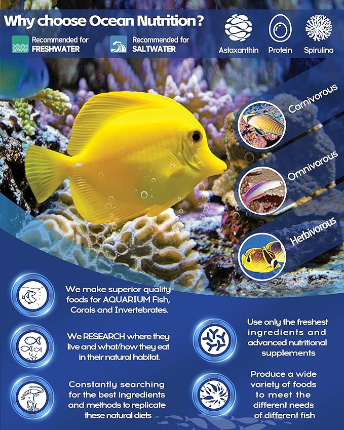 Ocean Nutrition Formula One Flake Fish Food - Natural Ingredient Fish Food Flakes for All Saltwater Tropical Fish - Supports Health & Coloration, Does Not Cloud Water, Made in USA, 1.2 oz (34 g)