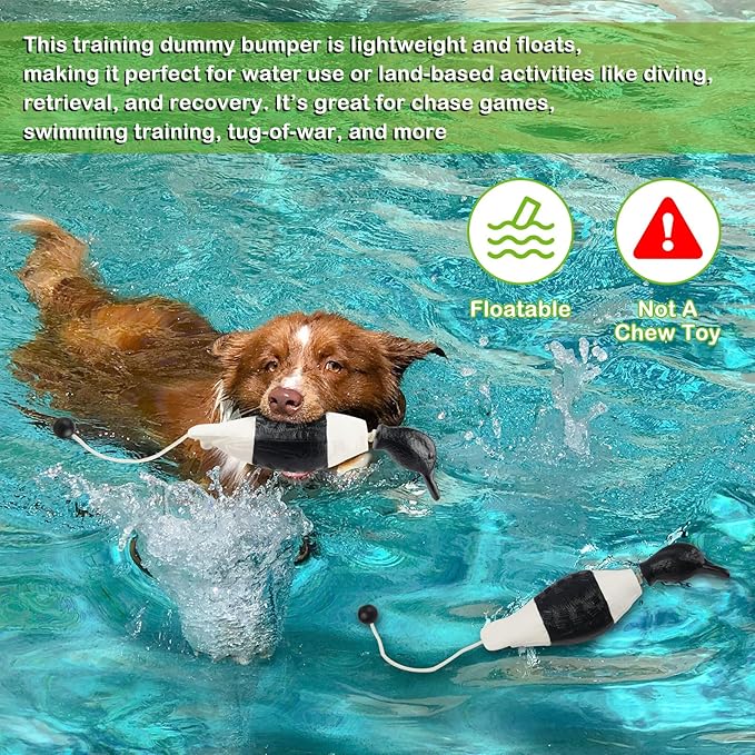 Archerest Dead Duck Dove Pheasant Dummy Bumper Toys for Waterfowl Hunting Retriever Dog Training, Floating Mallard Dummy Trainer Outdoor Soft Durable Realistic Fowl