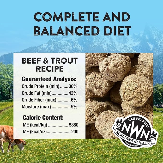 Northwest Naturals Freeze-Dried Beef & Trout Dog Food - Bite-Sized Nuggets - Grain-Free, High-Protein, Raw Diet, Human-Grade Ingredients, All Natural, Omega-3 for Skin & Coat, Made in USA, 12 Oz