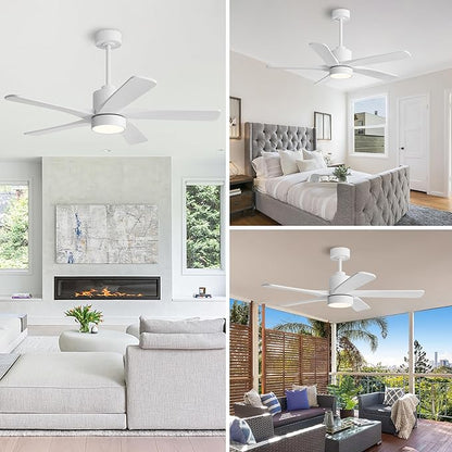 WINGBO 48 Inch DC Ceiling Fan