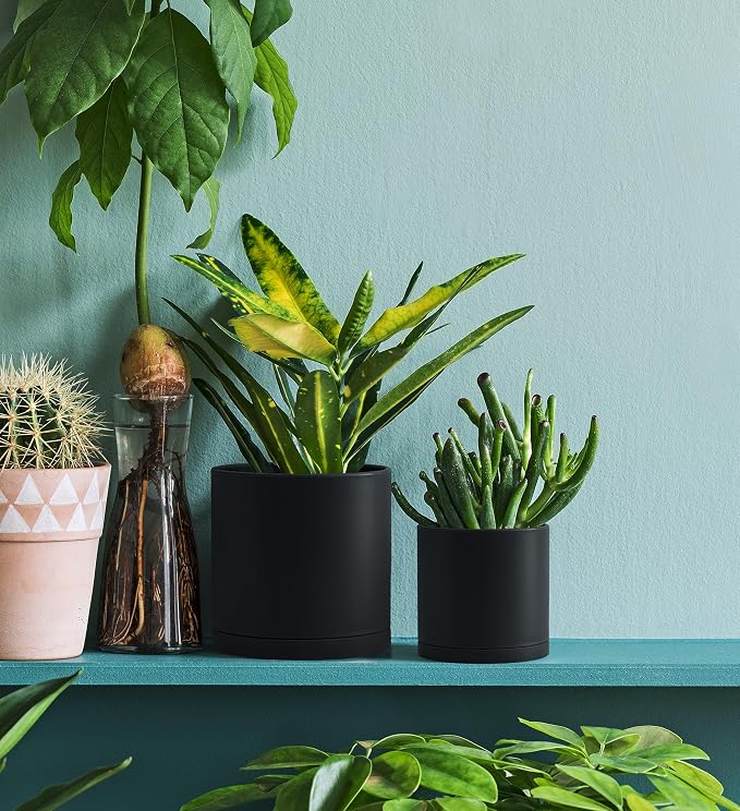D'vine Dev 6 Pack 4.5 Inch Modern Plastic Plant Pots, Small Garden Planters for Plant with Drainage Holes and Saucers, Black Color, 74-Y-F-3