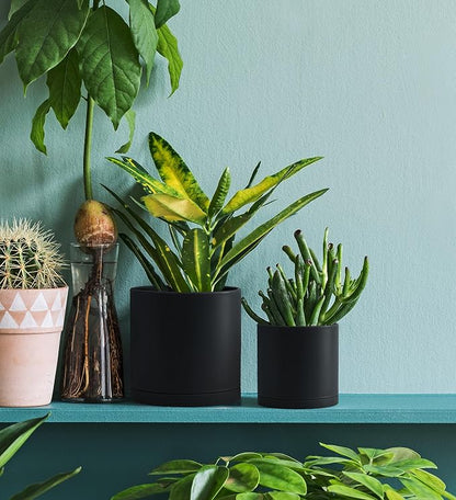 D'vine Dev 6 Pack 4.5 Inch Modern Plastic Plant Pots, Small Garden Planters for Plant with Drainage Holes and Saucers, Black Color, 74-Y-F-3