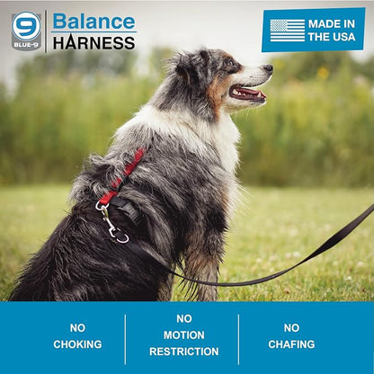 Blue-9 Buckle-Neck Balance Harness, Fully Customizable Fit No-Pull Harness, Ideal for Dog Training and Obedience, Made in The USA, Camo, Medium