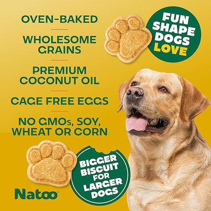 NATOO Healthy Treats for Large Dogs, Crunchy Biscuits Coconut & Mango Flavor – Natural Dog Treats, Rich in Omega 6, Prebiotics & Fiber, Antioxidants for Immunity (8 oz)